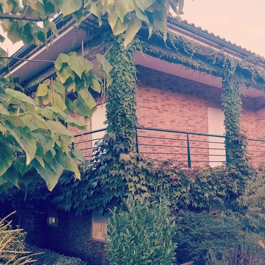Casa Campo Ao Rio_Village Barcelos Exterior foto